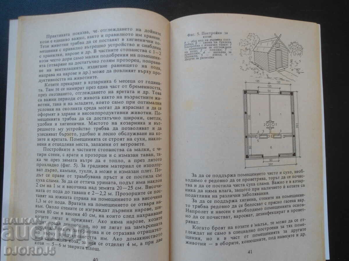 All about the farm, Raising goats - 6 All about the farm, Raising goats - 6