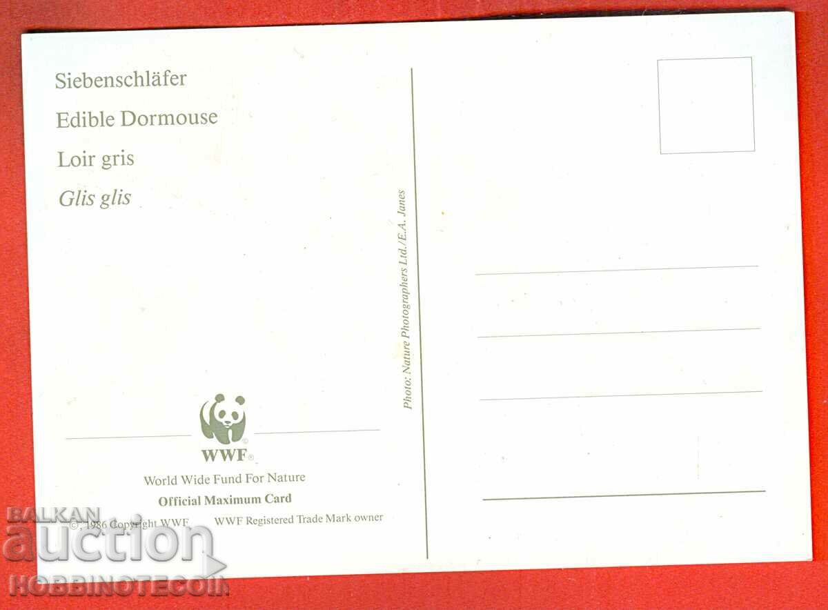 WWF CARD ENDANGERED ANIMALS - LATVIA - MAXIMUM CARD with price 3.99 BGN | € 2.04 WWF CARD ENDANGERED ANIMALS - LATVIA - MAXIMUM CARD with price 3.99 BGN | € 2.04