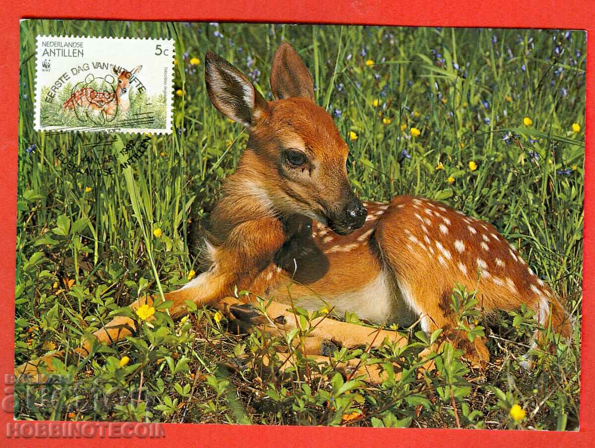 CARD WWF ANIMALE PE PERICUL DE DISTINȚIE - HALL ANTILLES CARD MAX