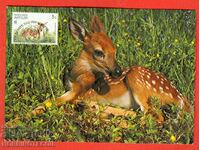 WWF CARD ENDANGERED ANIMALS - HALL ANTILLES CARD MAX