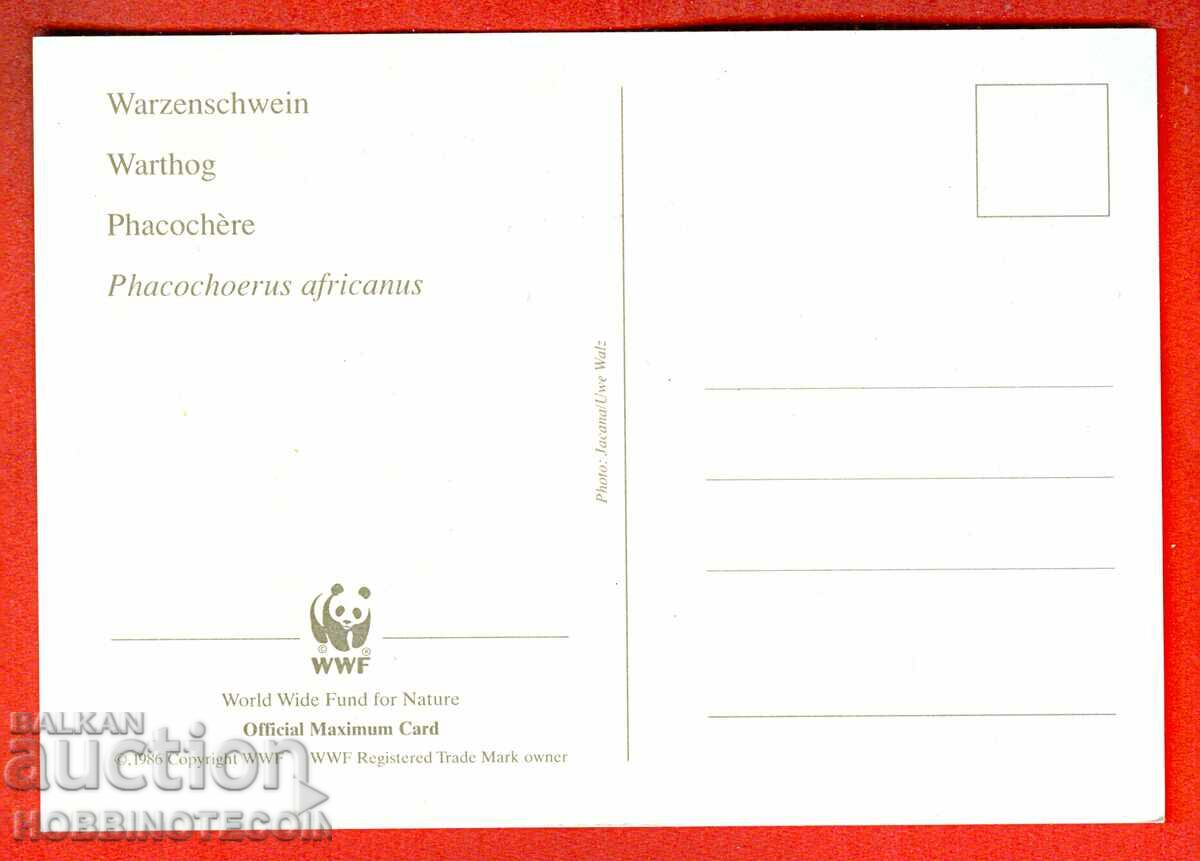 WWF CARD ENDANGERED ANIMALS - DJIBOUTI - CARD MAXIMUM with price 3.99 BGN | € 2.04 WWF CARD ENDANGERED ANIMALS - DJIBOUTI - CARD MAXIMUM with price 3.99 BGN | € 2.04