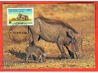 CARD WWF ANIMALE PE PERICOL - DJIBOUTI - CARD MAXIM