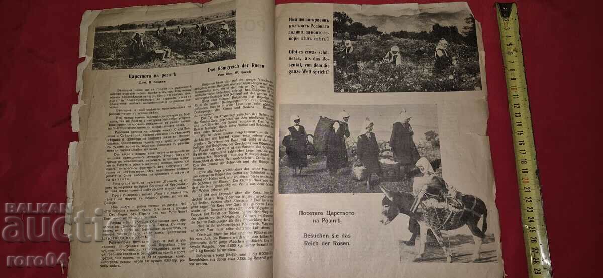 Δημοπρασία ROSE VALLEY - Έτος Ι Τεύχος Ι - ΜΟΝΟ ΤΕΥΧΟΣ - RRR