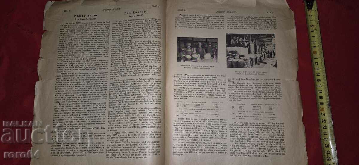 Delivery of ROSE VALLEY - Year I Issue I - SINGLE ISSUE - RRR