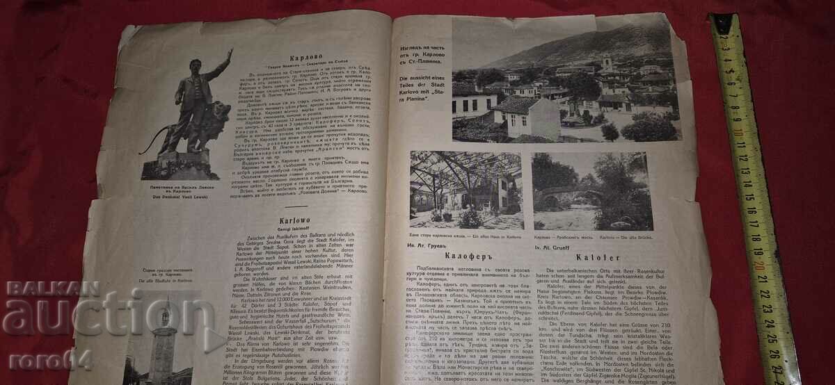 ROSE VALLEY - Year I Issue I - SINGLE ISSUE - RRR - 5