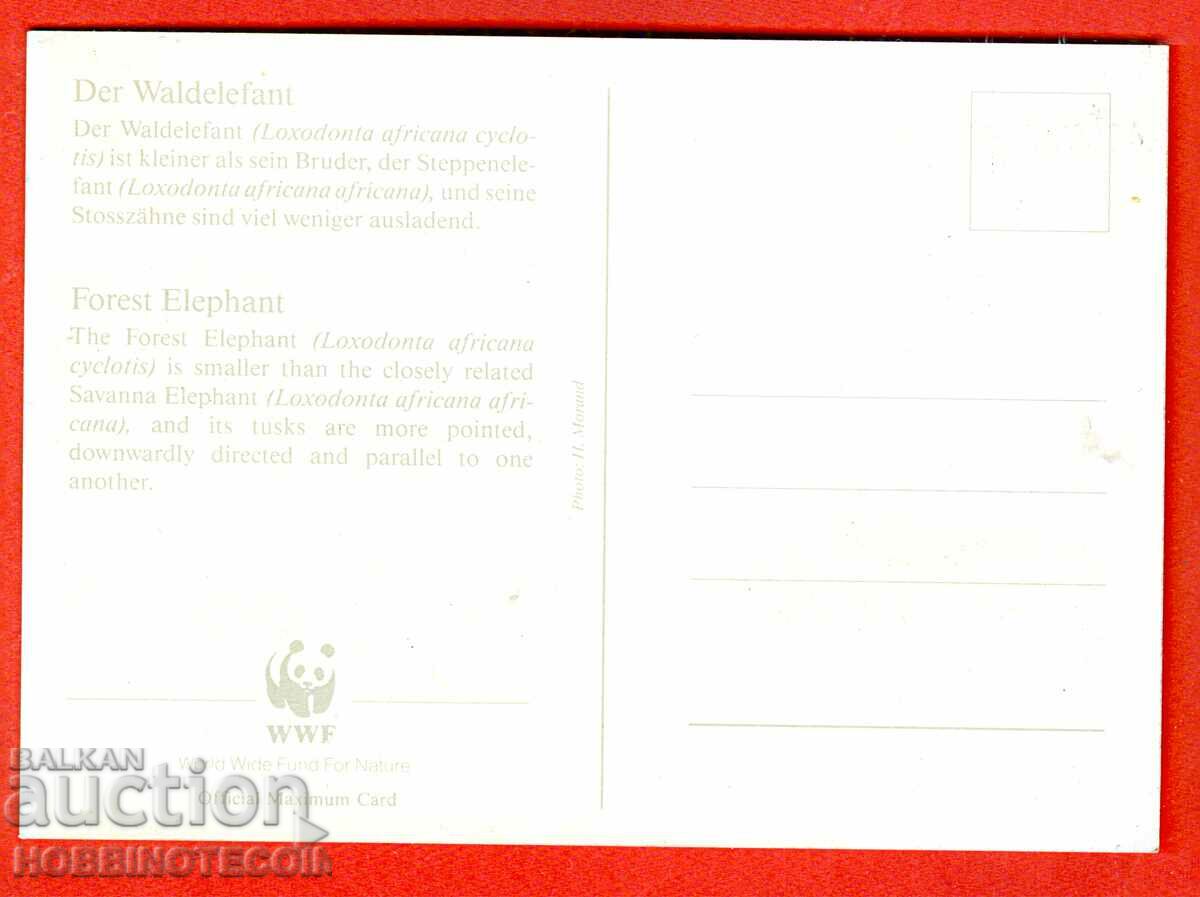 WWF CARD ENDANGERED ANIMALS - GABON - CARD MAXIMUM with price 3.99 BGN | € 2.04 WWF CARD ENDANGERED ANIMALS - GABON - CARD MAXIMUM with price 3.99 BGN | € 2.04