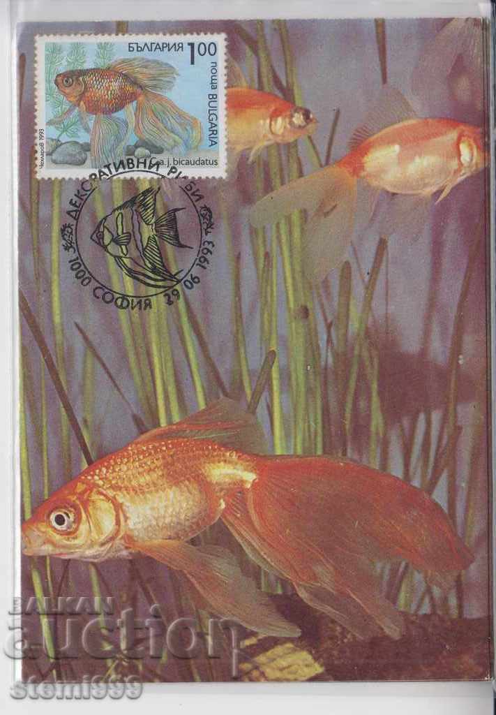 Card maxim FDC Animale Pește ornamental