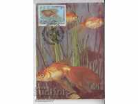 Card maximum FDC Animals Ornamental fish