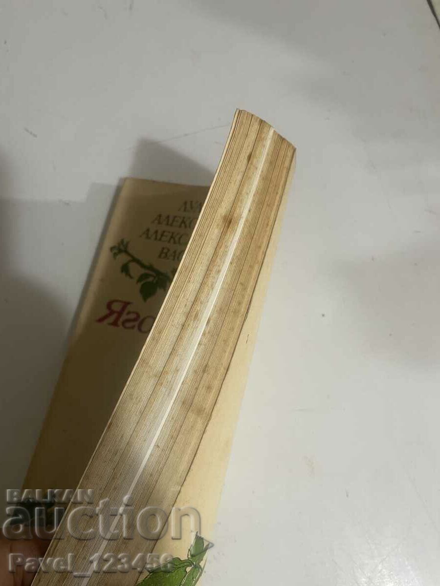 Δημοπρασία Καλλιέργειες φράουλας στον κήπο μας