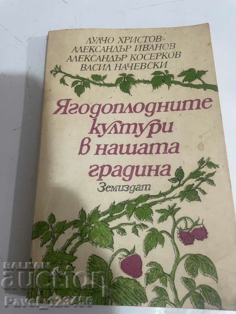 Καλλιέργειες φράουλας στον κήπο μας