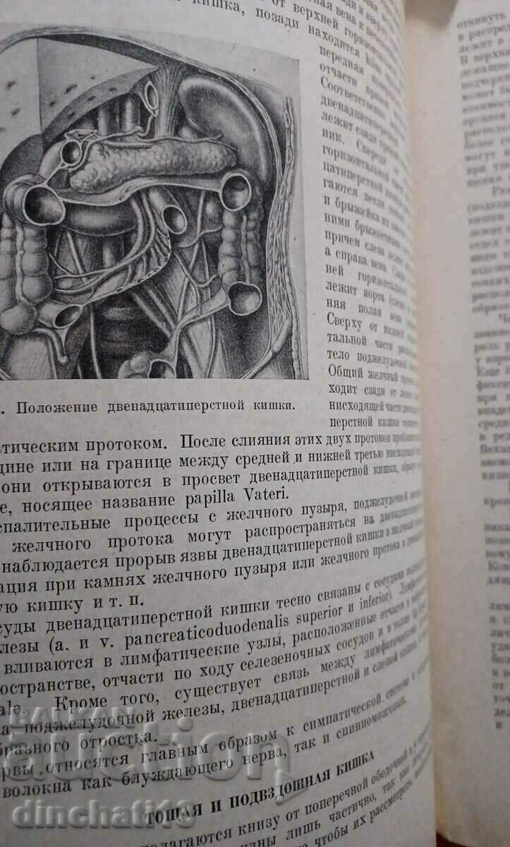 Auction Short course of operative surgery: Shevkunenko V.N. Auction Short course of operative surgery: Shevkunenko V.N.