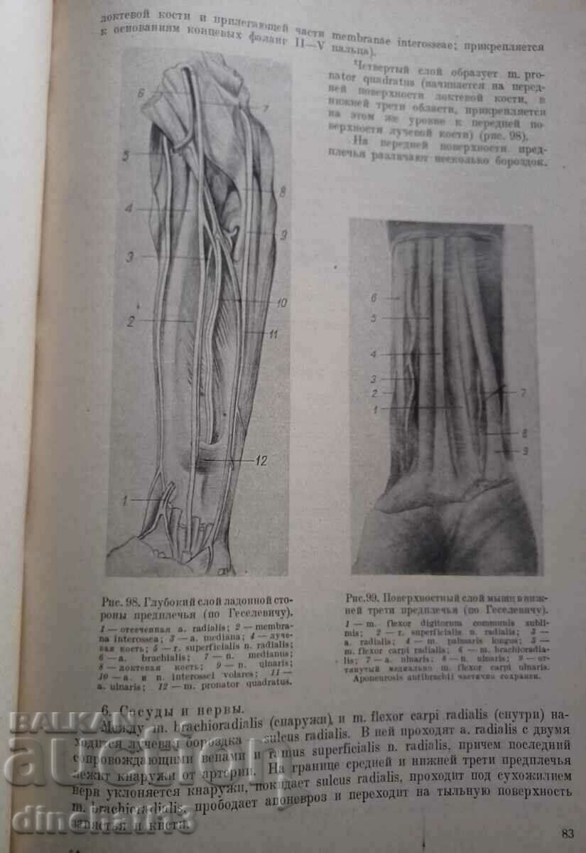 Short course of operative surgery: Shevkunenko V.N. - 6 Short course of operative surgery: Shevkunenko V.N. - 6