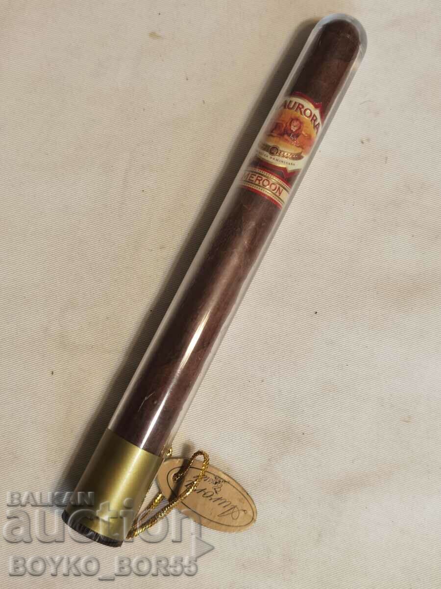 Yaka Cuban Havana Cigar LA AURORA CAMERUN cetros cristal t