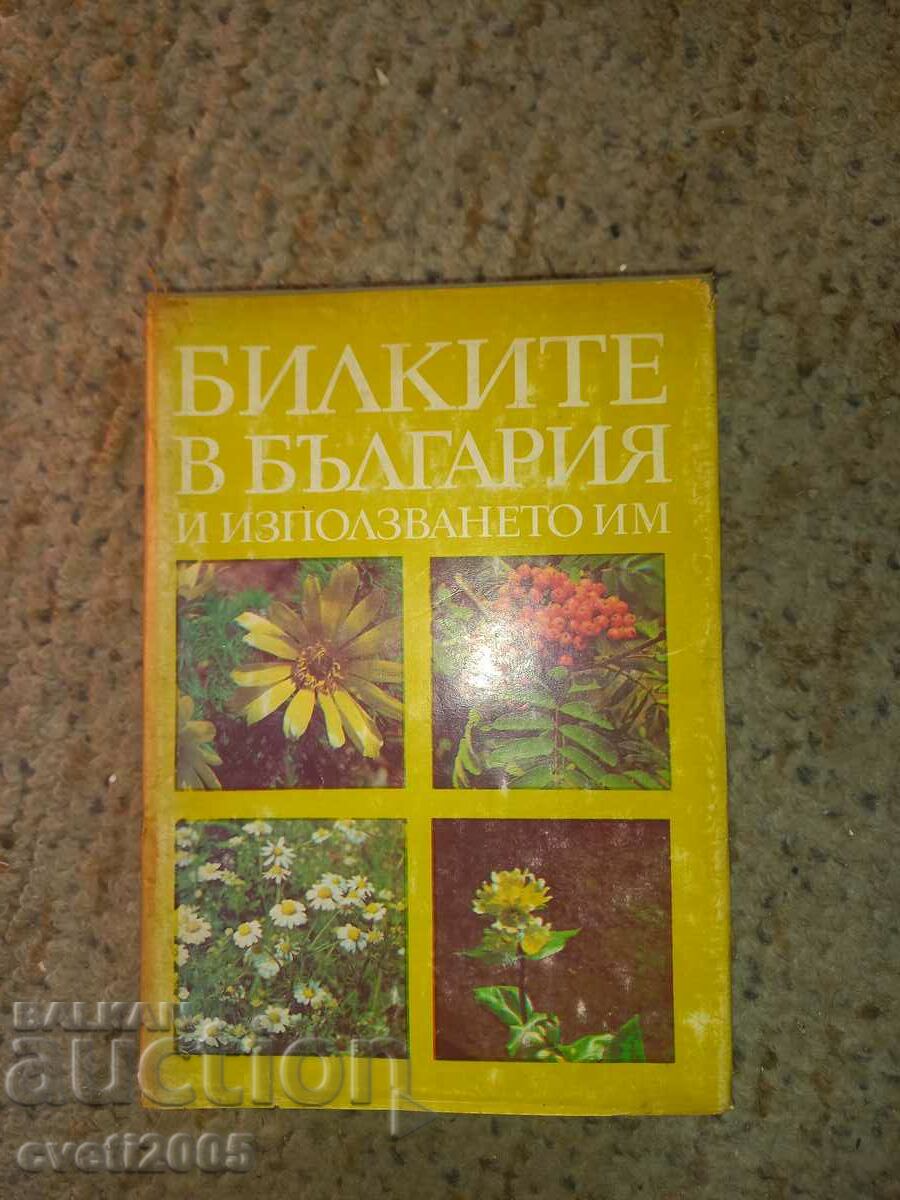 Herbs in Bulgaria