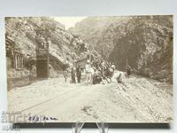 1930 Card Photo Photo Roe Deer Forest Vets Vacha Krichim