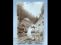 1930 Card Photo Photo Deer Forest Waterfall River Mountain