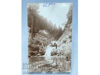 1930 Cartelă Fotografie Căprior Pădure Cascada Râu Munte