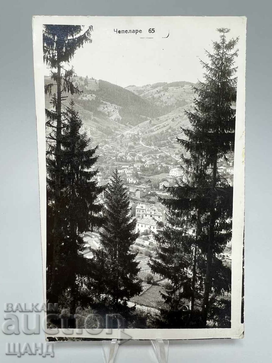 1930 Photo Card View Chepelare Through the Woods