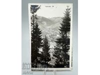 1930 Photo Card View Chepelare Through the Woods