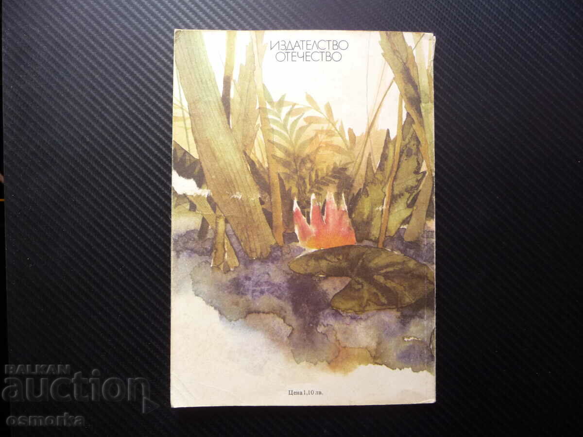 Delivery of Tony-Pony Aneta Duceva children's book with picture stories Delivery of Tony-Pony Aneta Duceva children's book with picture stories