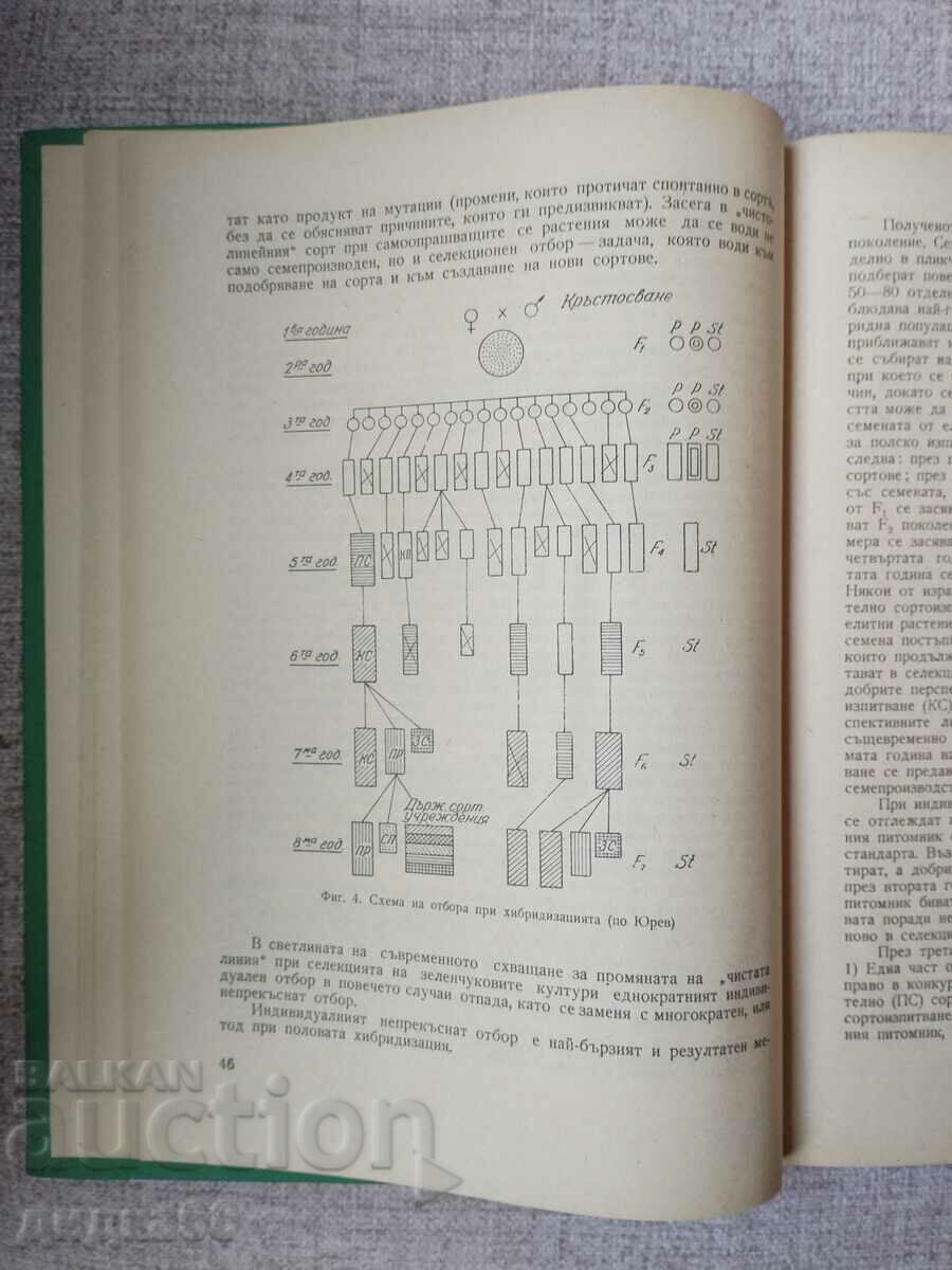 Selecția și producția de semințe de legume / Zhecheva cu preț 50.00 BGN | € 25.56 Selecția și producția de semințe de legume / Zhecheva cu preț 50.00 BGN | € 25.56