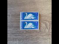 Bulgaria 1976 fauna Waterfowl