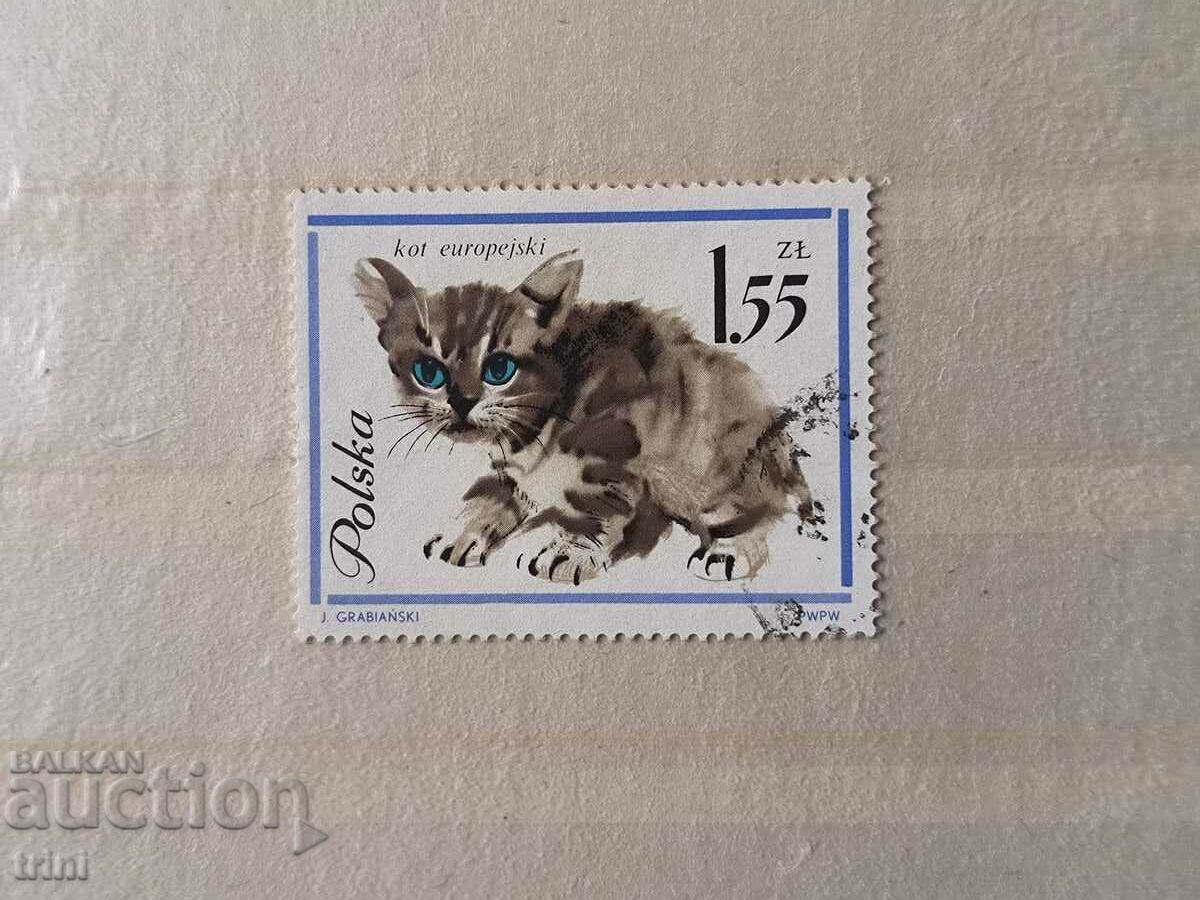 Poland 1964 fauna cats