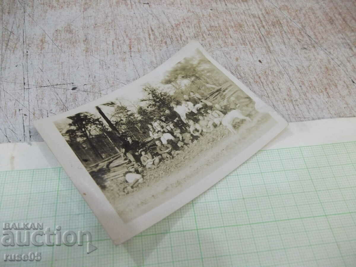 Auction Old photo of a group on an outing in the woods with a dog in America Auction Old photo of a group on an outing in the woods with a dog in America