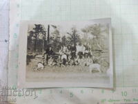 Old photo of a group on an outing in the woods with a dog in America