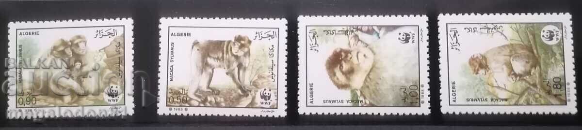 Алжир - WWF берберски макак, 1988г. Алжир - WWF берберски макак, 1988г.