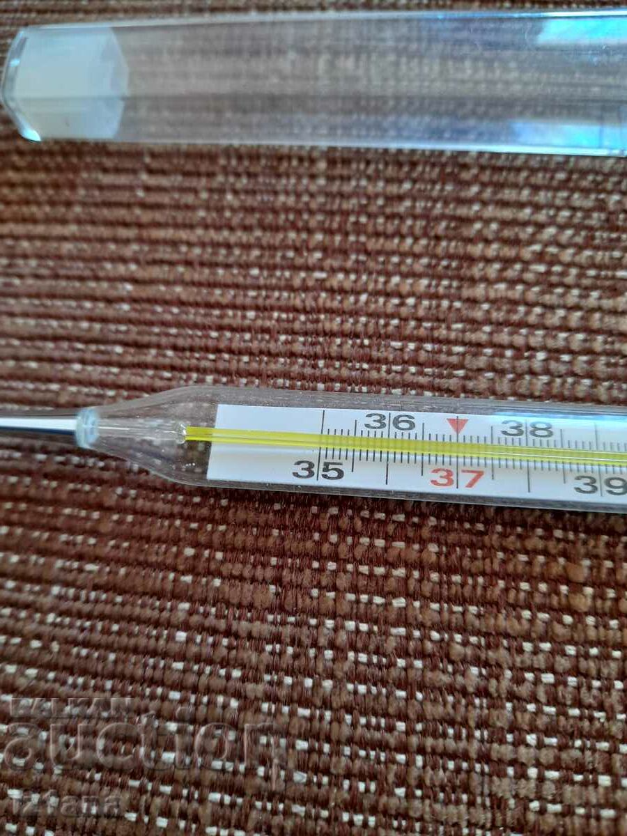 Auction Old body thermometer Auction Old body thermometer