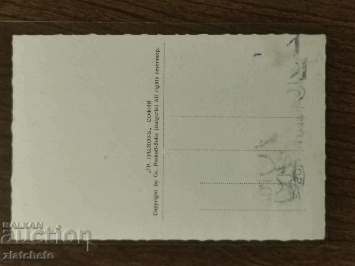 Auction Postcard - Maria-Louisa Auction Postcard - Maria-Louisa