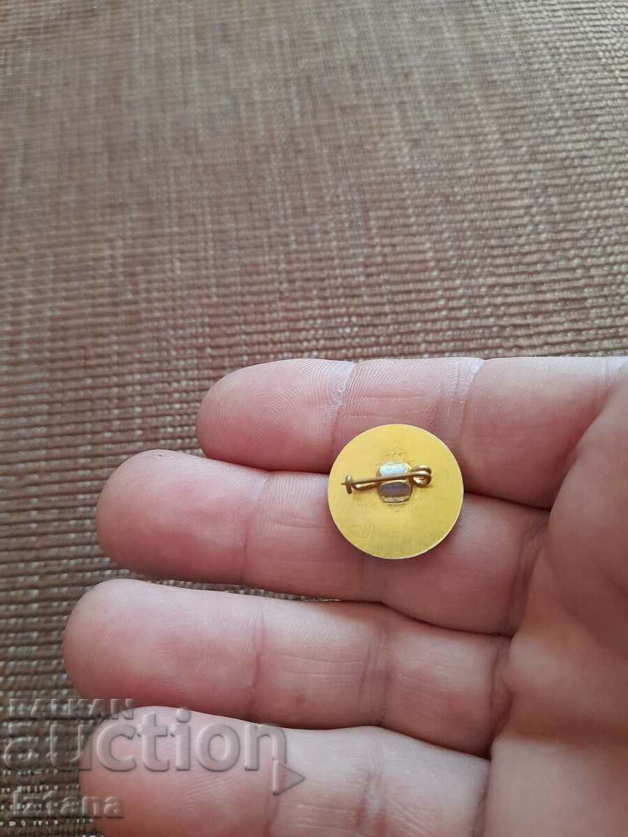 Auction Old badge 60 Years DFS Locomotive Auction Old badge 60 Years DFS Locomotive