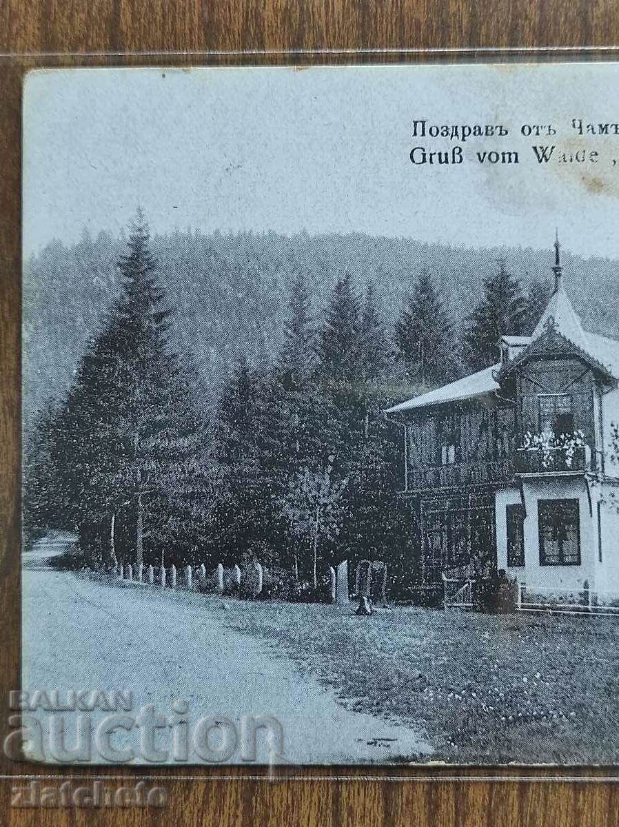 Δημοπρασία Καρτ ποστάλ - Χαιρετισμοί από την Τσαμ - Κορέα Δημοπρασία Καρτ ποστάλ - Χαιρετισμοί από την Τσαμ - Κορέα