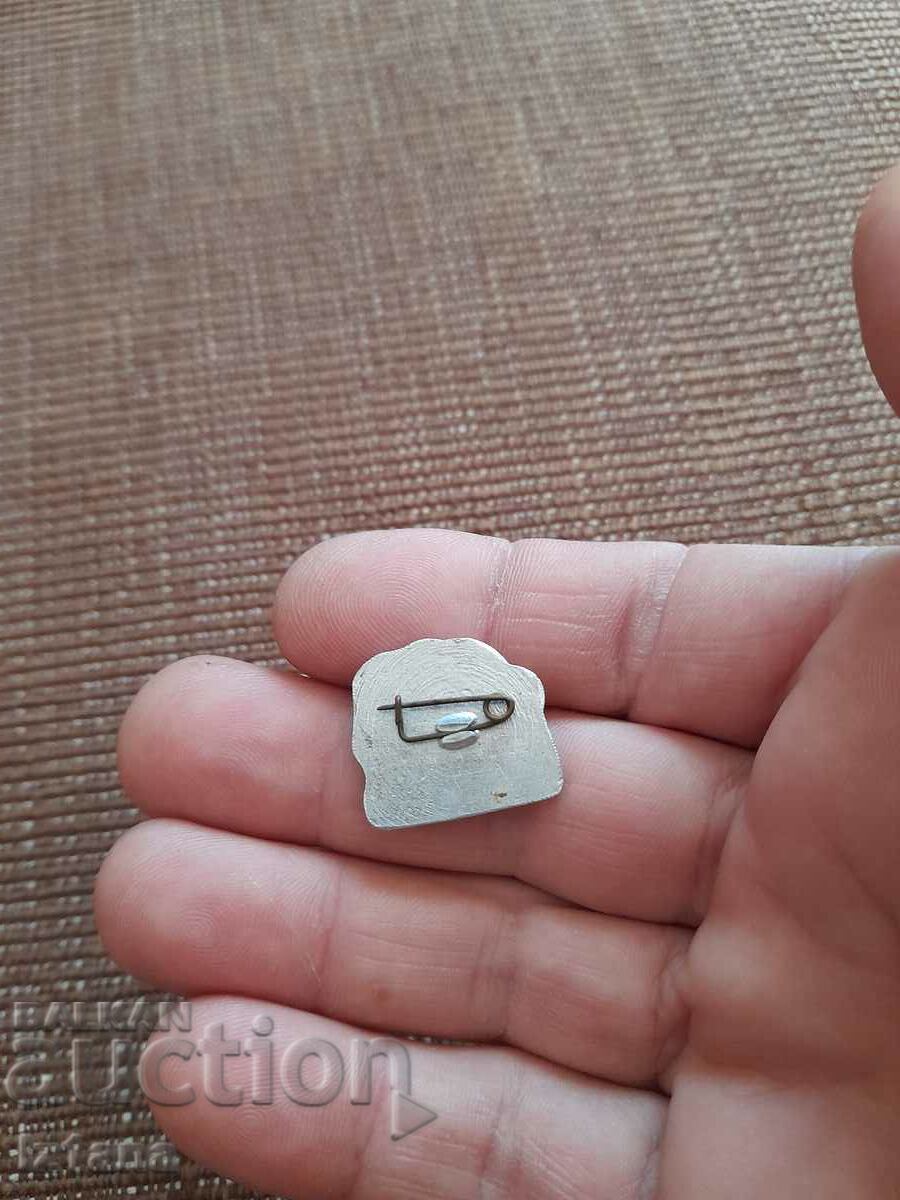 Auction  Old Hungarian Horseman badge