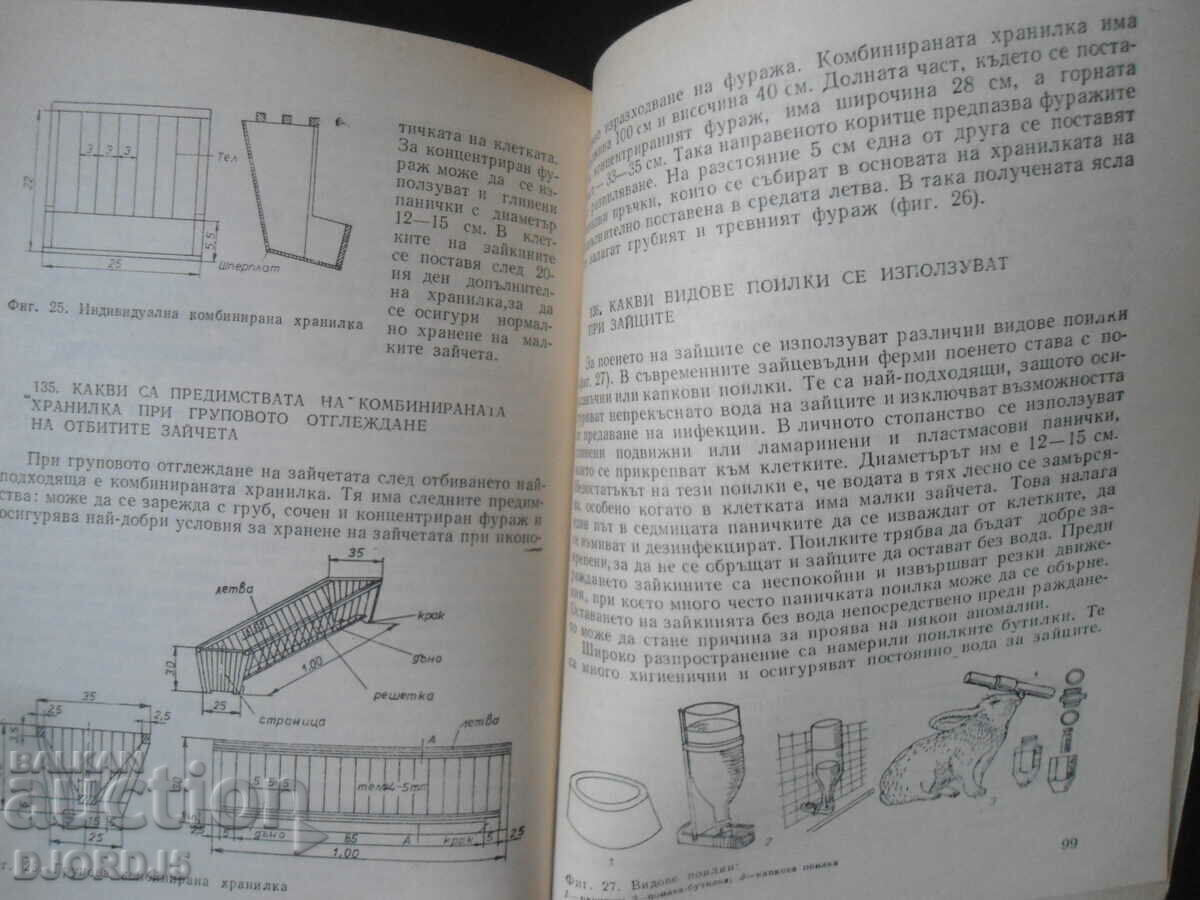 Πρακτικές συμβουλές για εκτροφείς κουνελιών - 5