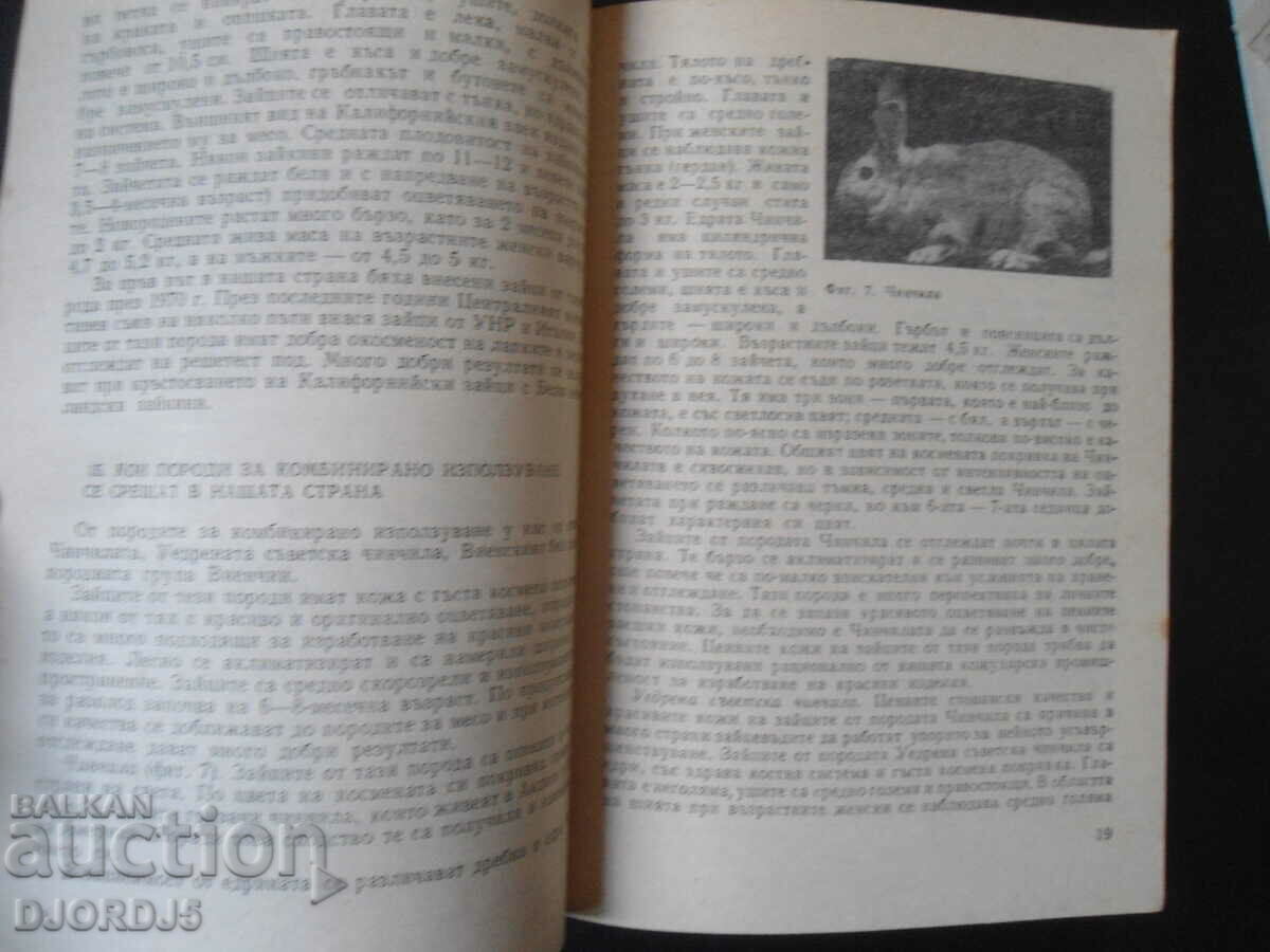 Πρακτικές συμβουλές για εκτροφείς κουνελιών - 7