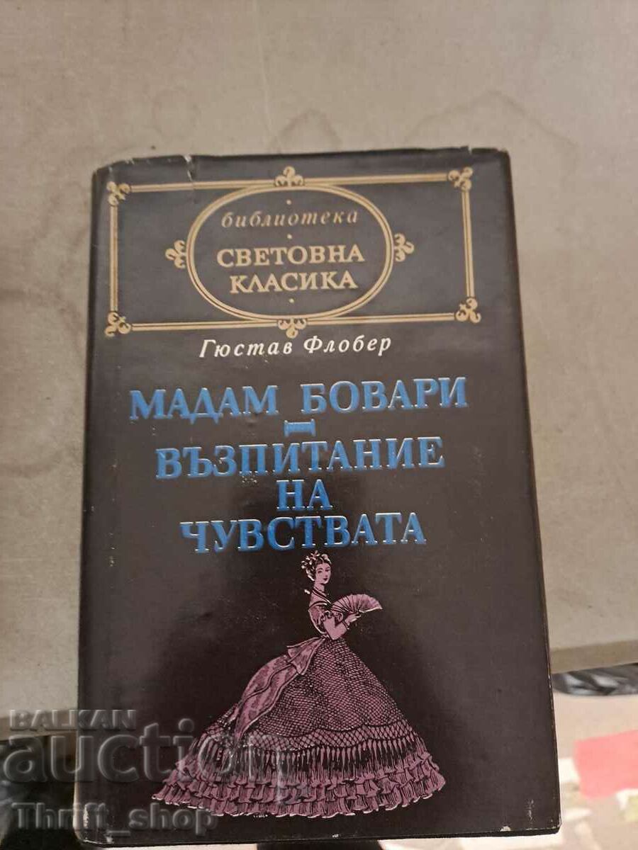 Мадам Бовари