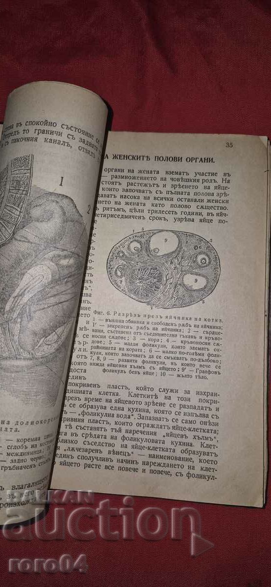 Delivery of A BOOK FOR THE WOMAN Delivery of A BOOK FOR THE WOMAN