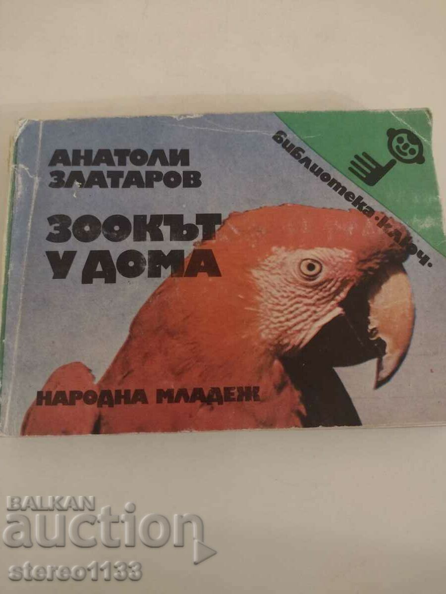 Το Zook στο σπίτι