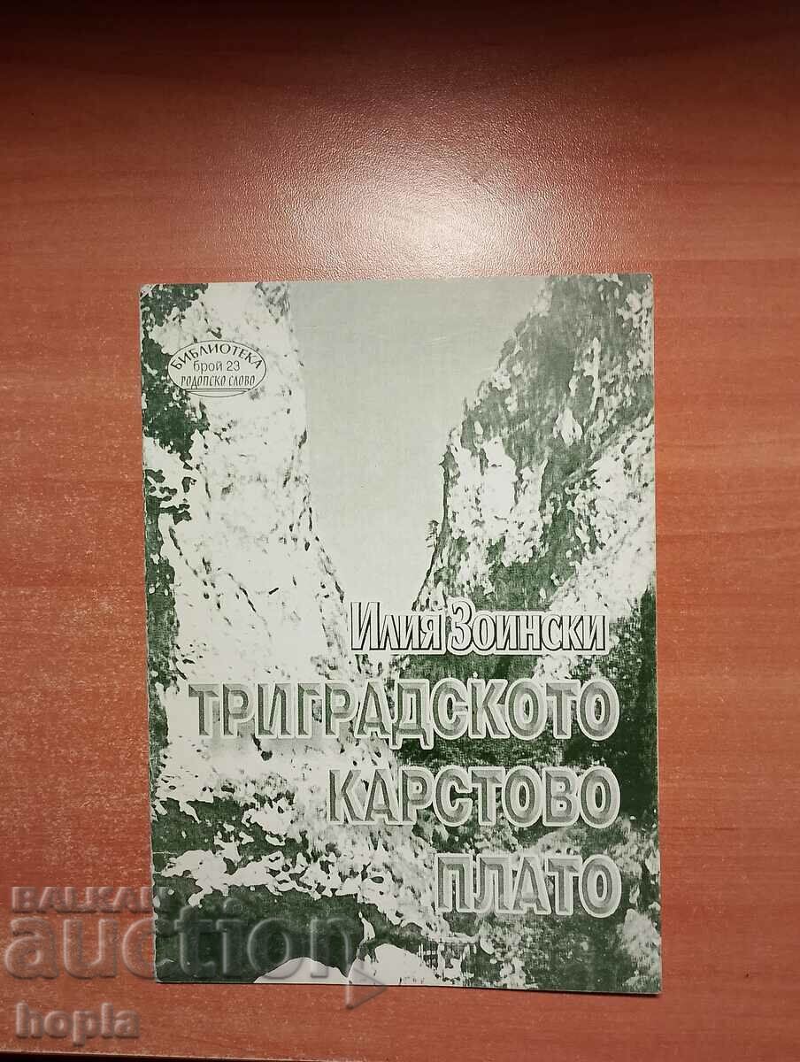 Ilia Zoinski PODIȘUL CARSTIC TRI-ORĂȘE cu autograf