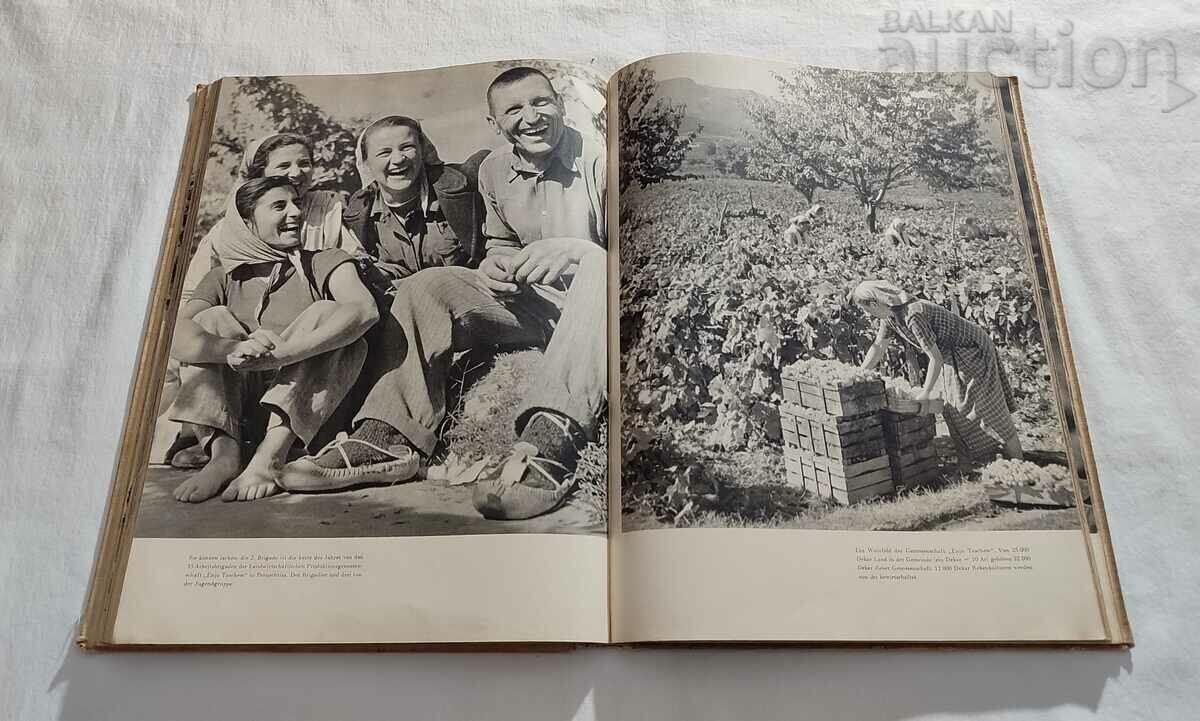 BULGARIEN ERICH RINKA 1956 - 5 BULGARIEN ERICH RINKA 1956 - 5