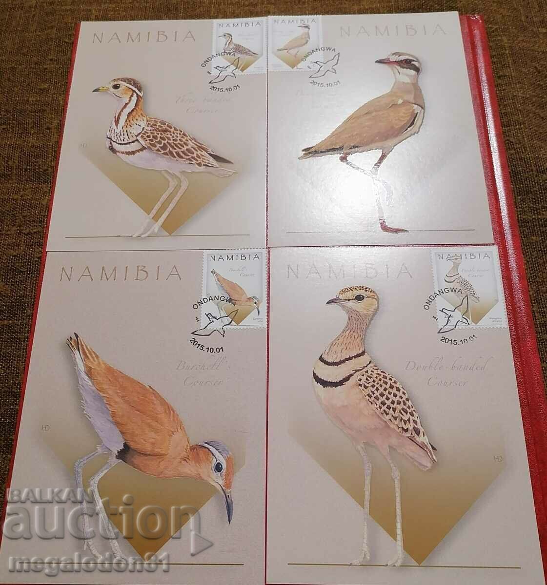 Namibia - fauna, birds, 2015 Namibia - fauna, birds, 2015