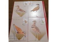 Namibia - fauna, birds, 2015