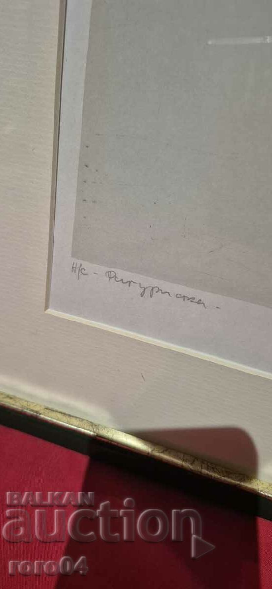 Delivery of STOYAN TSANEV (1946 - 2019) Figure skater