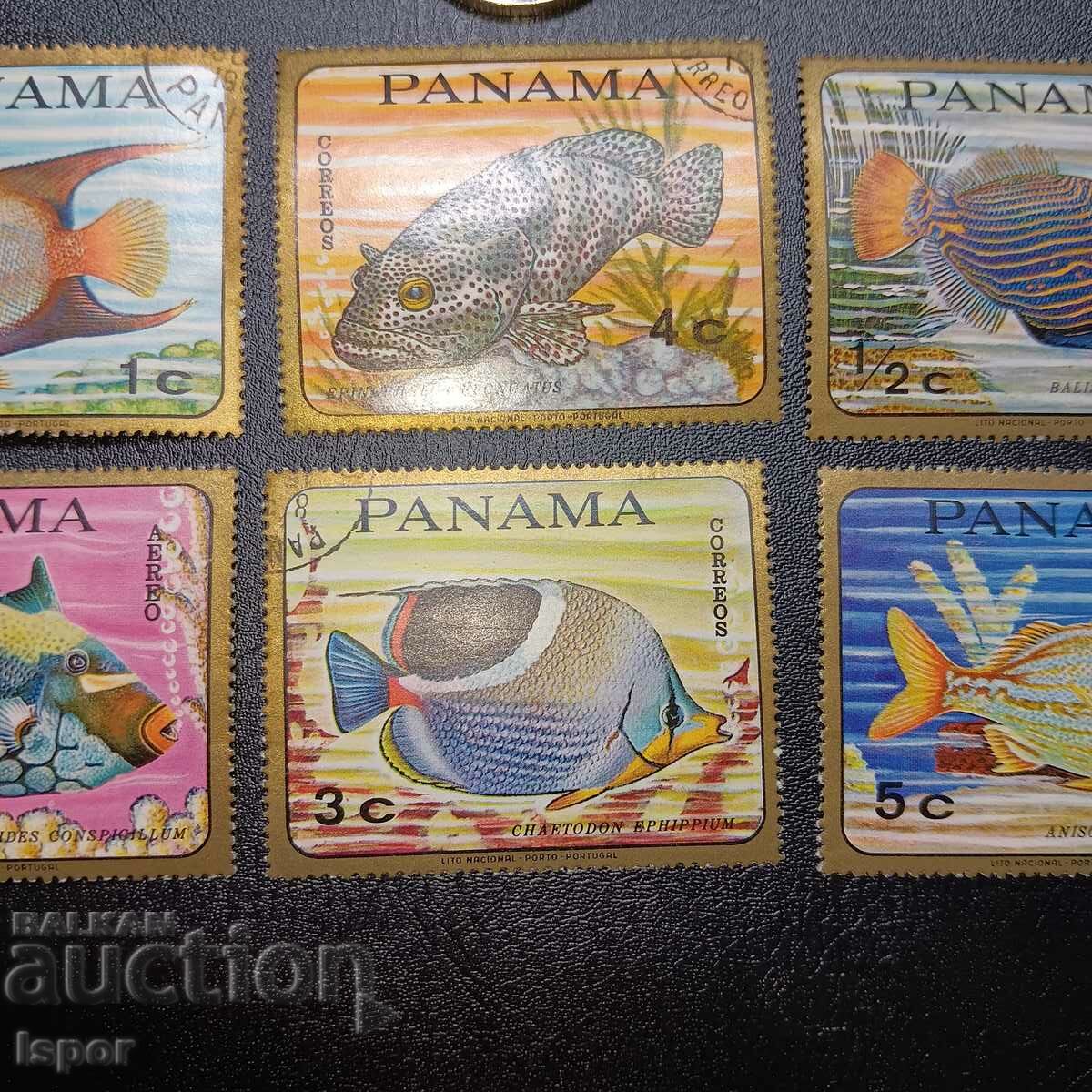 Auction Panama Auction Panama