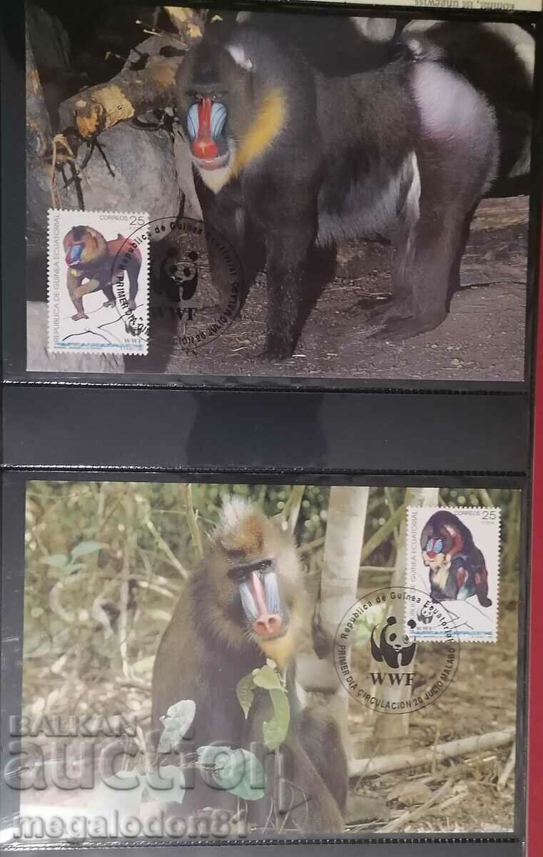 Equatorial Guinea - WWF, Mandrill with price € 1.60 | 3.13 BGN