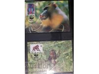 Equatorial Guinea - WWF, Mandrill