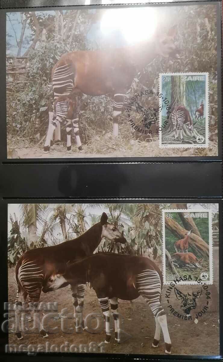 Zaire - WWF, okapi with price 12.00 BGN | € 6.14 Zaire - WWF, okapi with price 12.00 BGN | € 6.14