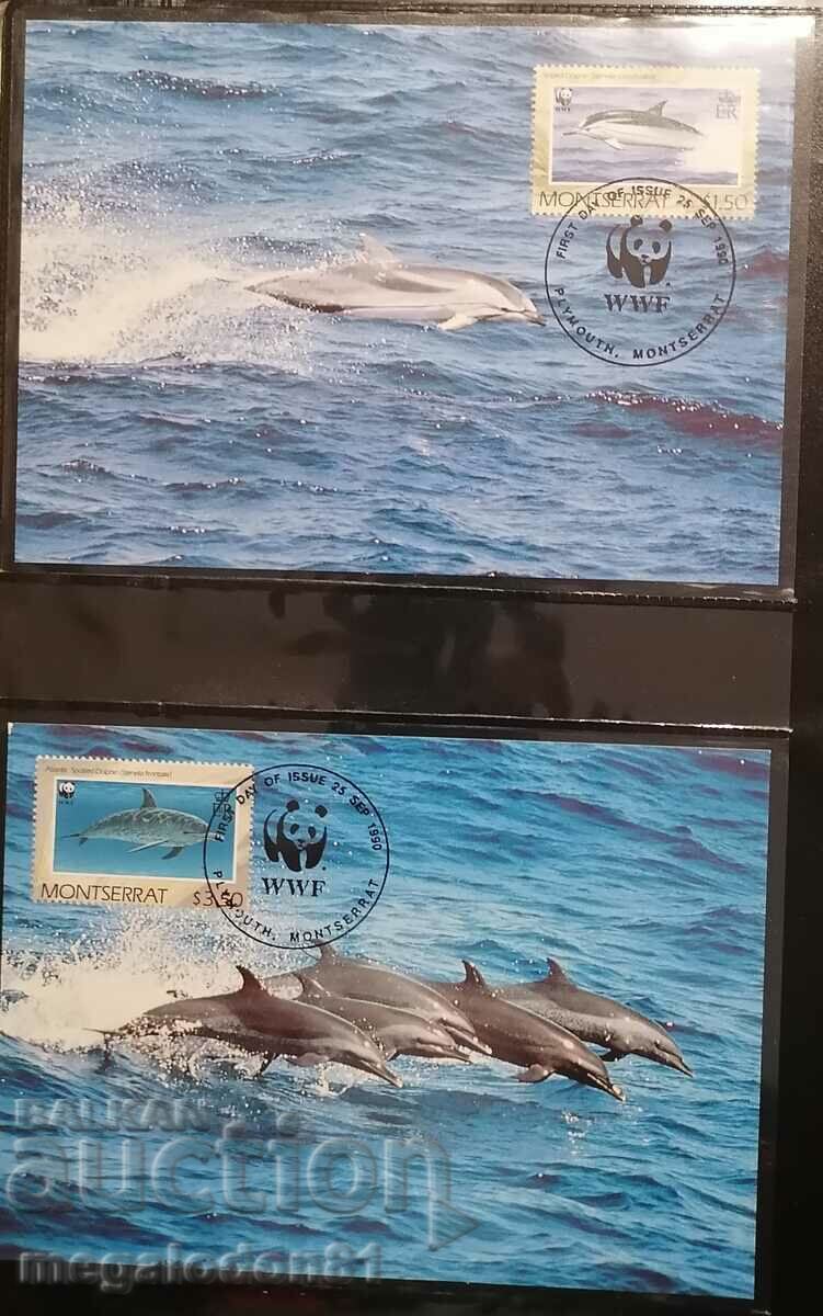 Montserrat - WWF, dolphins with price 12.00 BGN | € 6.14 Montserrat - WWF, dolphins with price 12.00 BGN | € 6.14